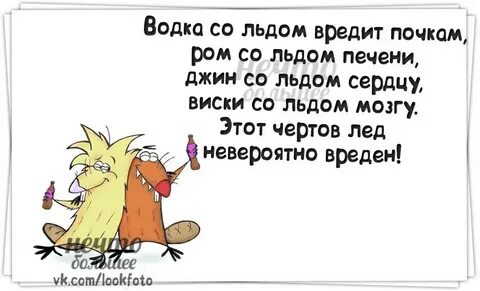 Что вредит почкам