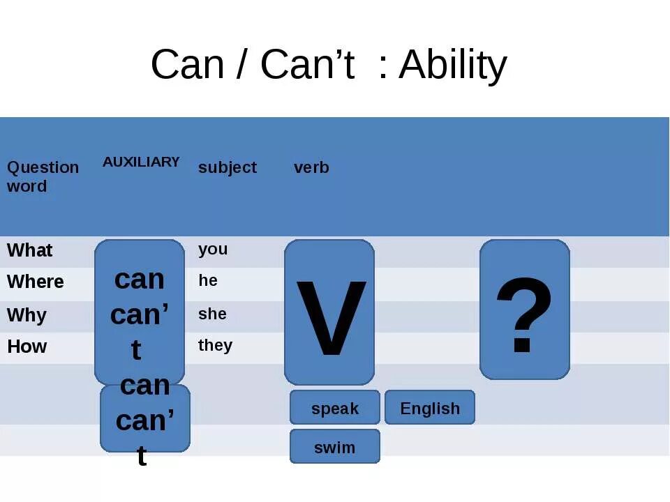 Как переводится слово can could. Can. Глагол can can`t. Can cant. Can cant правило в английском для детей.