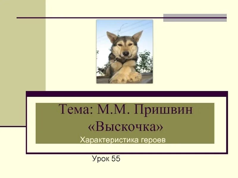 План выскочка м.м.пришвин. Выскочка характеристика героев. Характеристика героев вычуочкв. Как рассказчик относится к вьюшке и выскочке