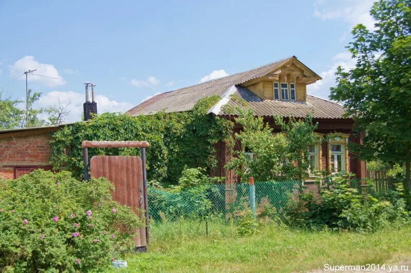 Ис село. Павловский Посад село Саурово. Деревня Саурово Павлово-Посадский район. Село сурово Лысковский район. Село Саурово Нижегородская область.