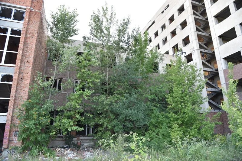 Заброшенные здания в нижнекамске. Заброшки в краснознаменске. Сгсэу балаково заброшка. Заброшки балаково. Заброшки балаково ксск.