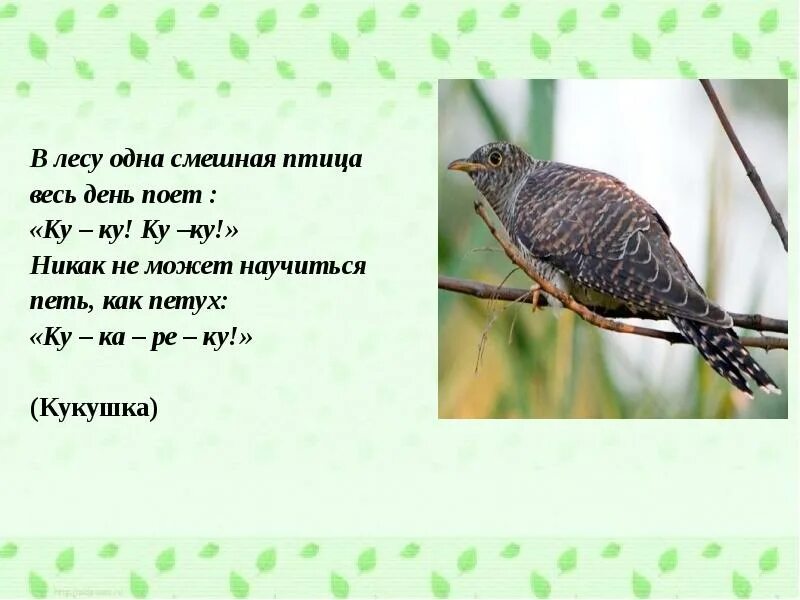 Никак не поет