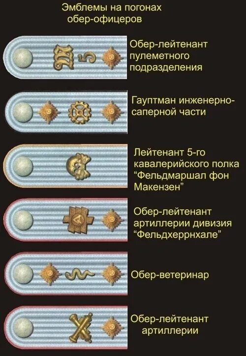 Уровне сс. Звания вермахта. Звания в Германии 1941-1945. Звания в армии Германии 1941-1945. Знаки различия СС.