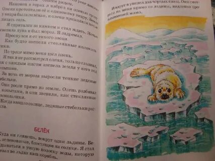 Рассказ бобровая хатка снегирев