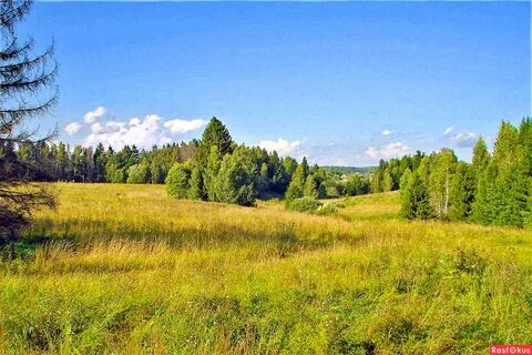 Вижу чудное приволье
