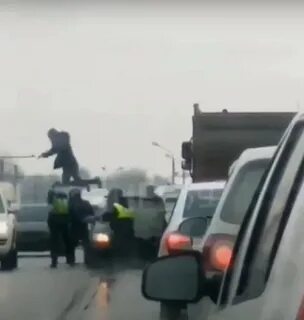 Бросился на машину