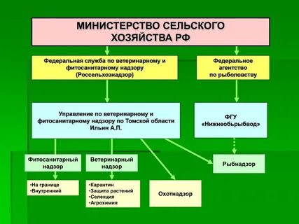Мсх департаменты