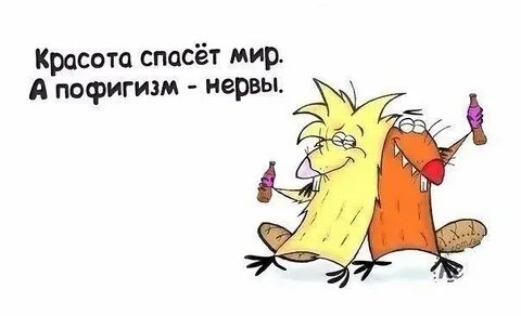 Целый год не виделись