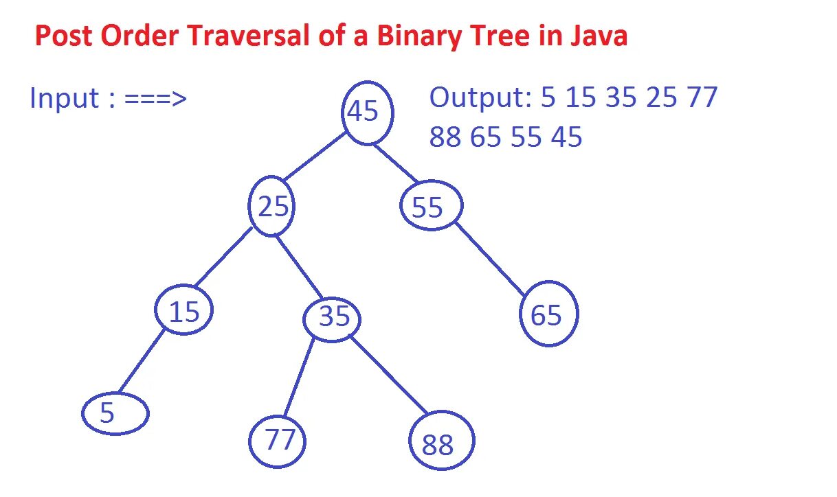 Двоичный java. Postorder traversal binary tree. preorder traversal binary tree. бинарное дерево java. pre order дерево.