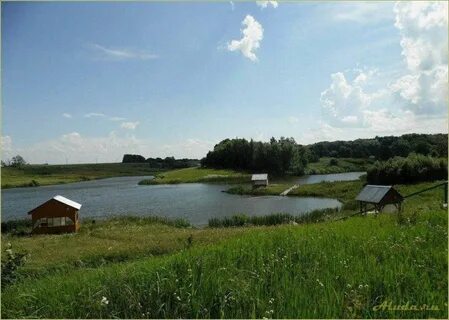 Рыбалка белые камни