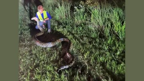 Python 19