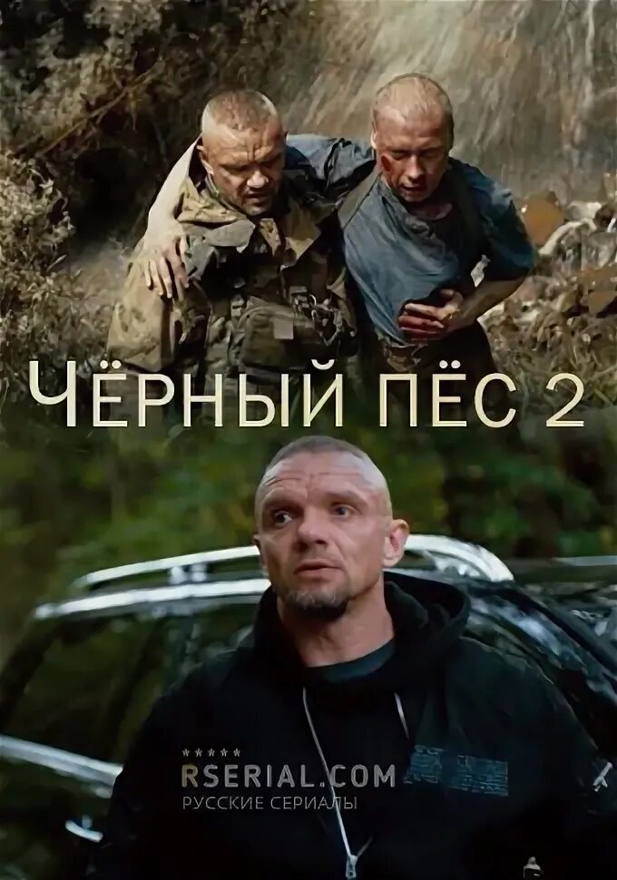 Пёс 4. Черный пес 4. Черный пес 4. Черный пес когда вышел. Черный пес когда вышел.