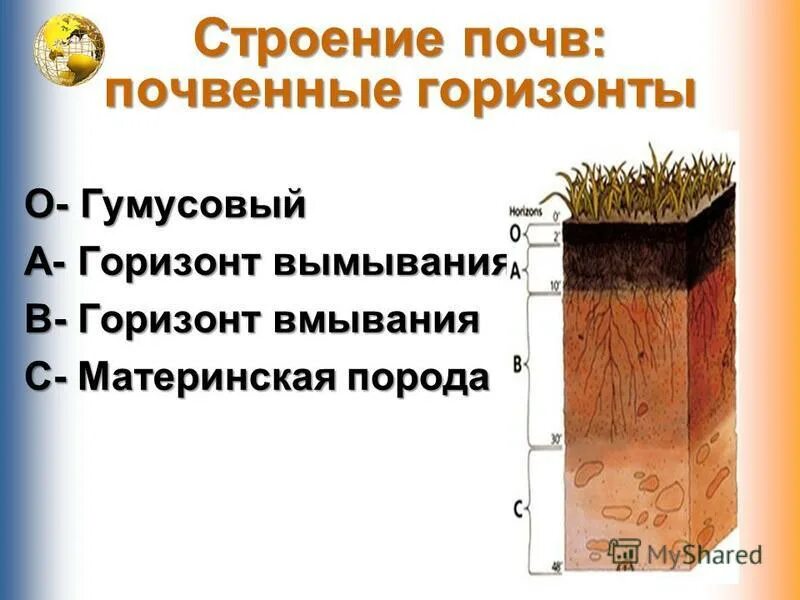 А1 горизонт AnikStroy.ru