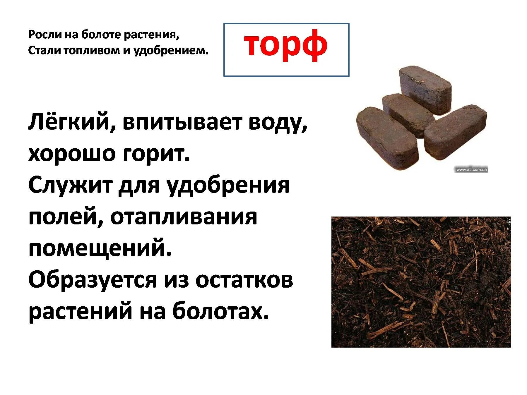 Для чего нужен торф. Проект по окружающему миру 3 класс полезные ископаемые торф. торф окружающий мир. полезные ископаемые торф. торф 4 класс.