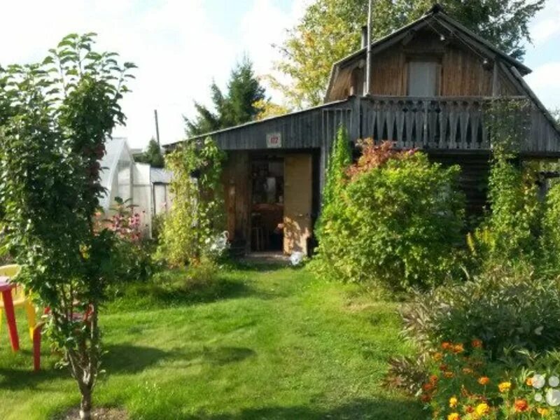 Районы дач в петрозаводске. Дачи карелия пиньгуба. Пиньгуба карелия. Дома дачи петрозаводск. Падозеро (деревня).