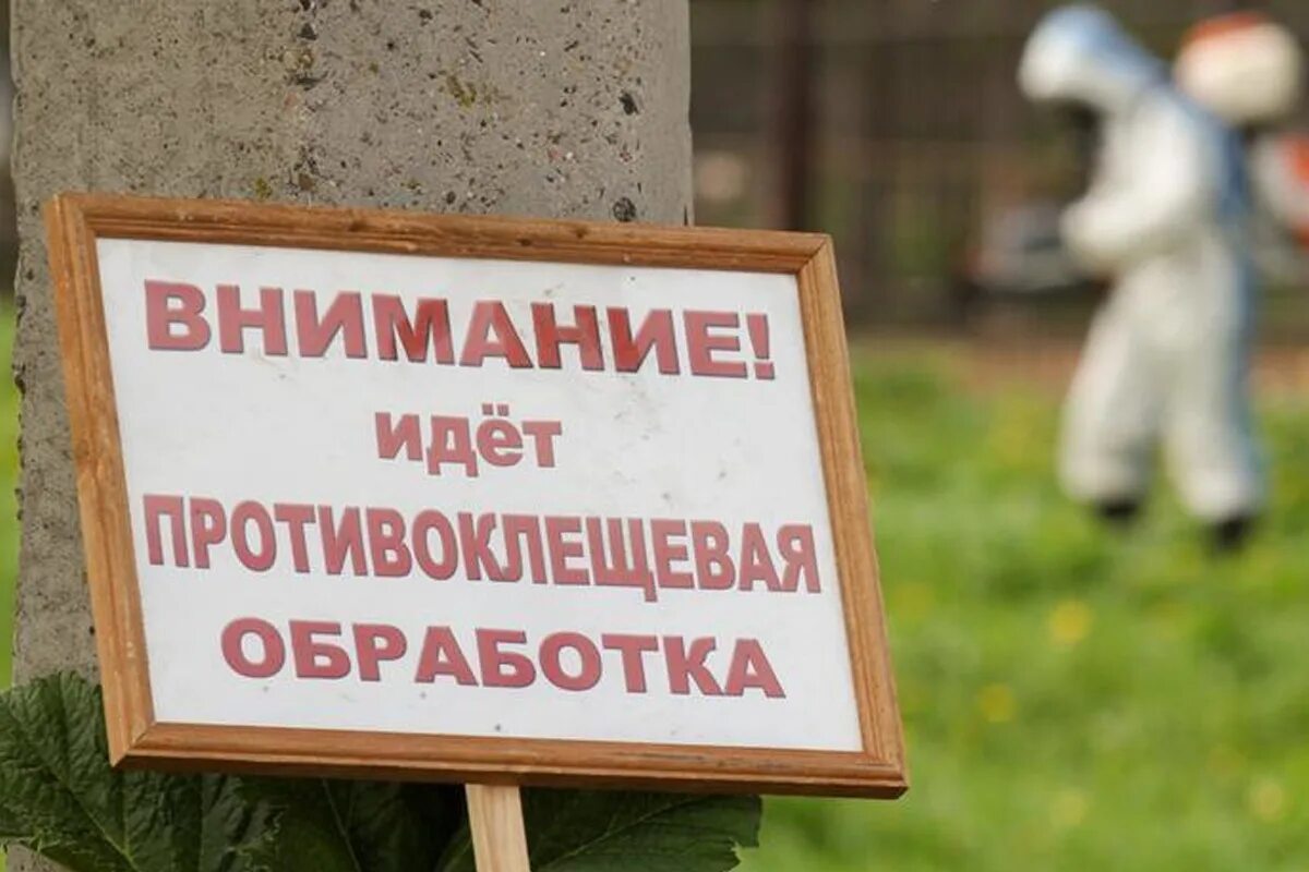 Идет обработка. Идет обработка. Идет обработка. Замена фона в фотошопе. Предупреждающие надписи.