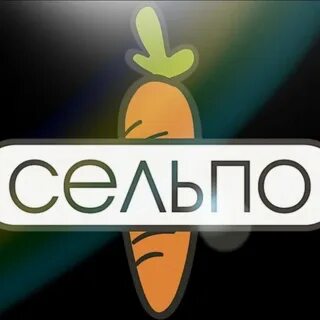 Дзен сельпо