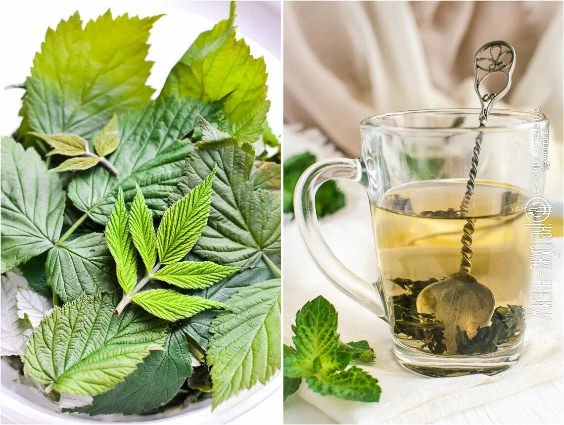 Вкусный чай в домашних условиях. Чайной заварки смородиновым листом,. Готовим чай. Заварка из листьев малины. Как приготовить чай.