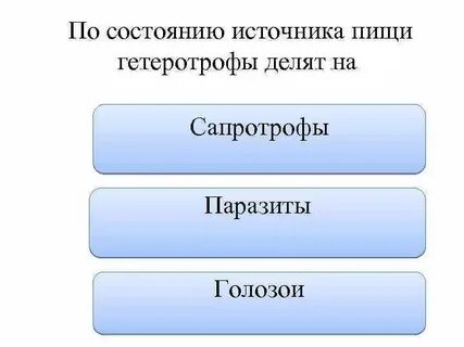 Голозои примеры