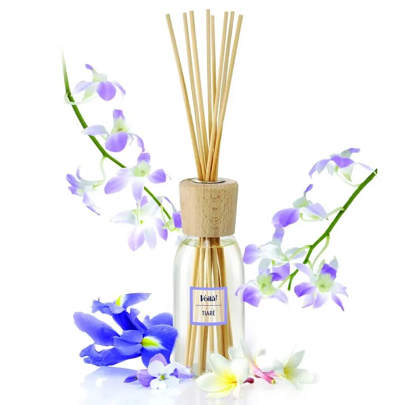 Аромадиффузор borsarossa 318051 100 мл. Аромат диффузор zielinski. Диффузор reed diffuser. Аромадиффузор aromatique. Ароматические палочки.