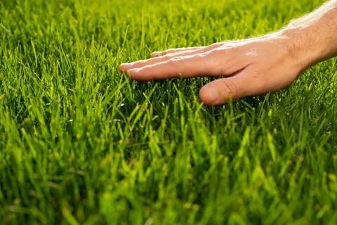 Touch grass