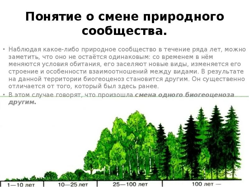 Как называется смена одного сообщества другим. Как называется смена одного сообщества другим