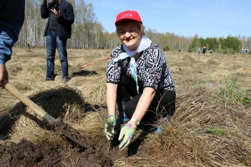 Бакчар Томская область. Посадка Кедров Томск. Мэр города Кедровый Томская область. Погода усть бакчар томская область чаинский