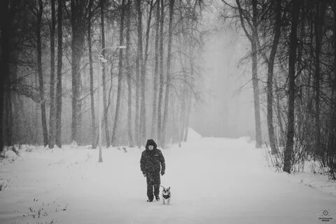 Пастернак после вьюги