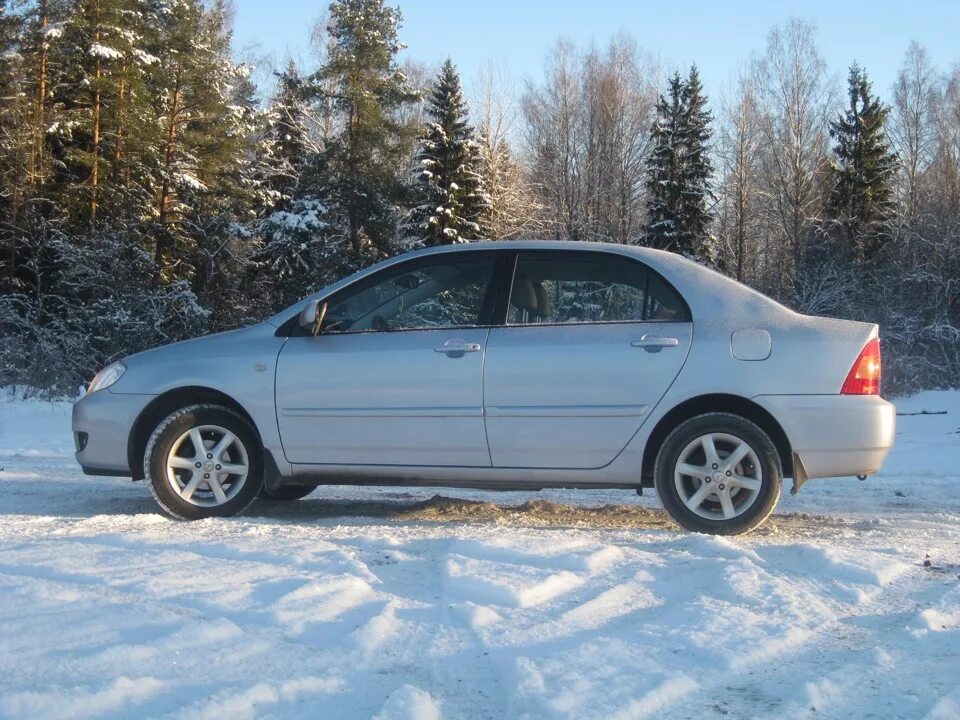 Зима 2004 ностальгия. Зимний город. 2004 год зима. 2004 год зима. Смоленск снег 2004 ноябрь.