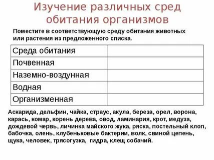 В какой среде живут простейшие