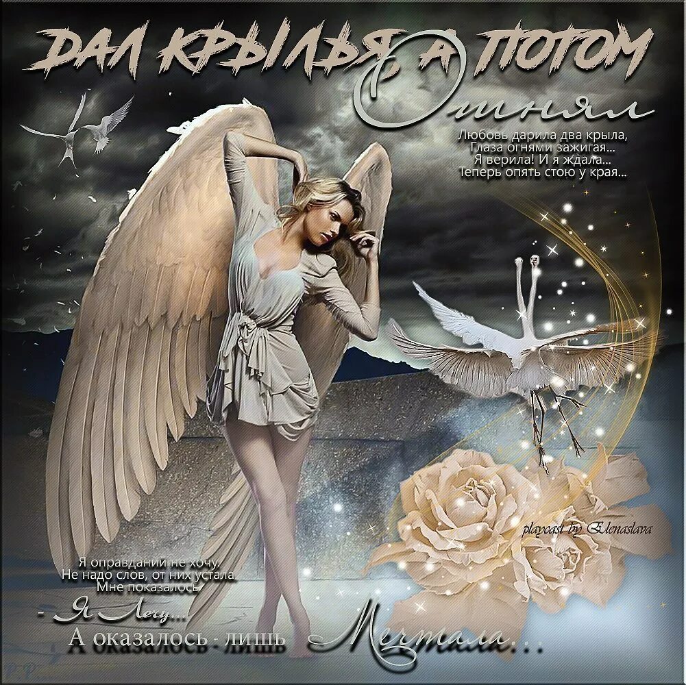 Дарю ангела. Статусы про ангелов. Цитаты про крылья. Белокрылый ангел. Подари мне крылья 3.