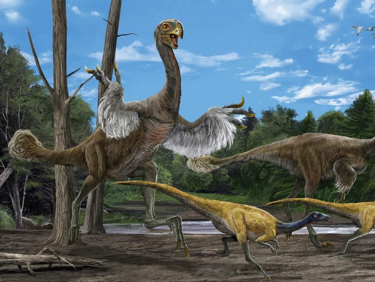 Gigantoraptor erlianensis. Гигантораптор динозавр. Гигантораптор Планета динозавров. Гигантораптор АРК. Динозавры художественный