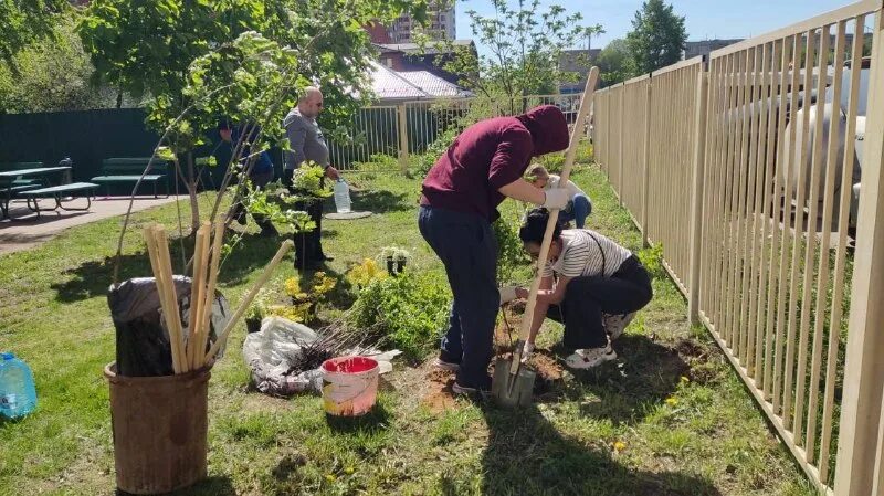 группа компаний содействие.