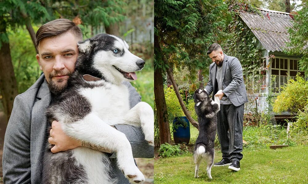 Какая собака у басты порода. Назову собаку гром. Назову собаку гром песня. Назову собаку гром песня. Собака по кличке гром.