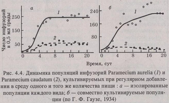 Принцип конкурентного исключения Гаузе. Закон конкурентного исключения Гаузе. Опыт с инфузориями закон Гаузе. Принцип Гаузе инфузории. Принцип исключения гаузе