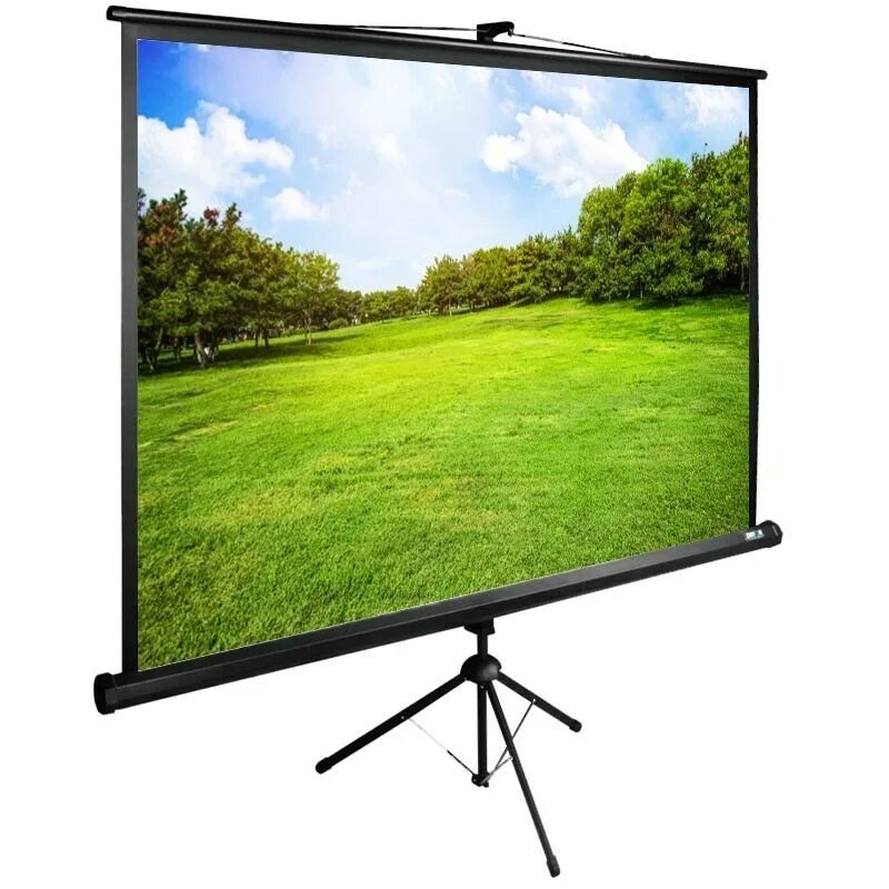 Cactus 150. Cactus TRIEXPERT CS-PSTE-220x165-BK. Экран Cactus Triscreen CS-PST-150x150. Экран для проектора Cactus Triscreen. Экран Cactus TRIEXPERT CS-PSTE-200x200-BK.
