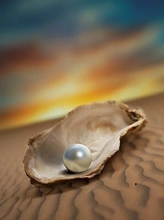Жемчужина у моря слушать. Морская жемчужница моллюск. раковина жемчужница морская. жемчужина в раковине. жемчуг в ракушке.