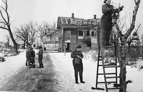 Освобождение старой руссы