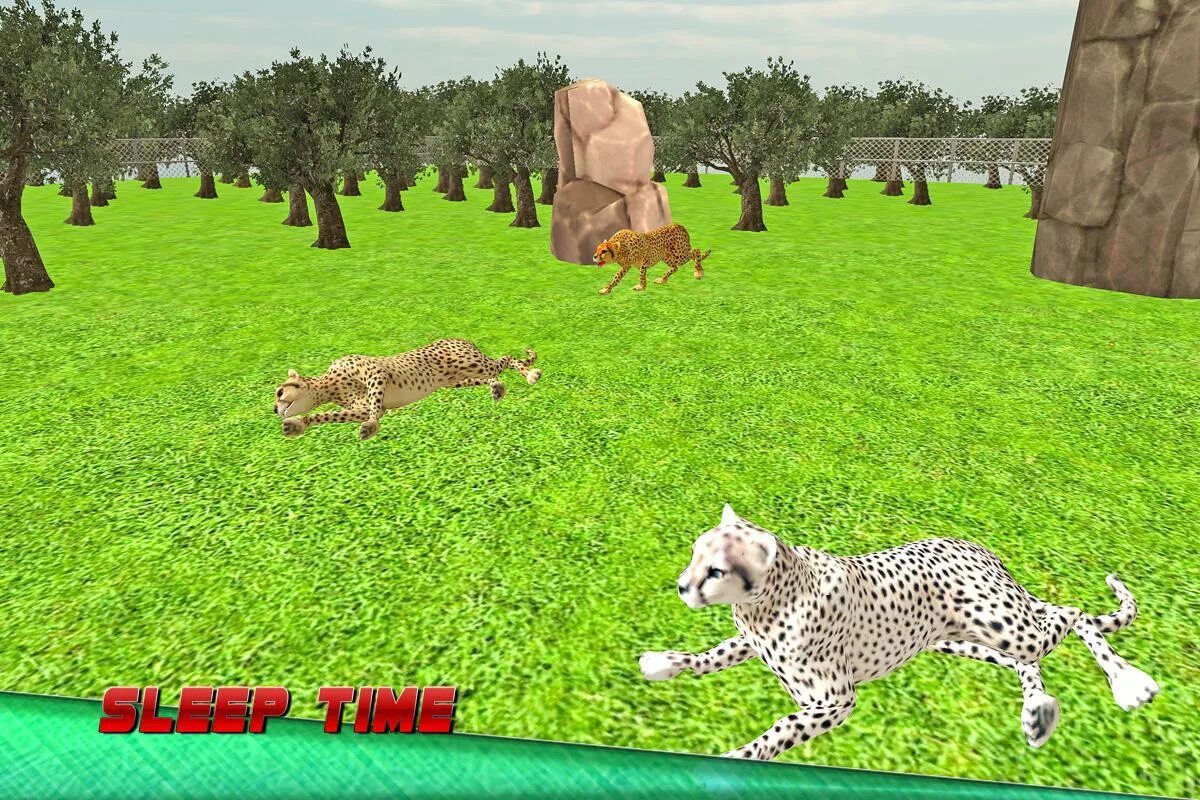 Симулятор гепарда. Wild cheetah sim 3d. симулятор семьи гепарда. симулятор летающего гепарда.