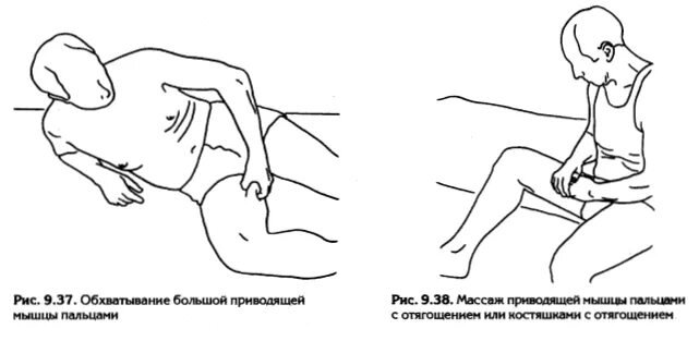 Пульсация в паховой области. Паховые мышцы. Пульсация в паху у мужчин. Тянет в паху справа у мужчин