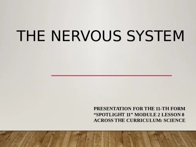 The nervous System Spotlight 11. Spotlight 11 Module 5 across the Curriculum Shanty Towns. Spotlight 11 across the Curriculum 7 ppt. Spotlight 11 wordwall