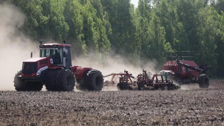 Уборка посевных на алтае. Посевные площади. Посевная алтайский край. Посевная кампания 2021. Посевная кампания в алтайском крае.
