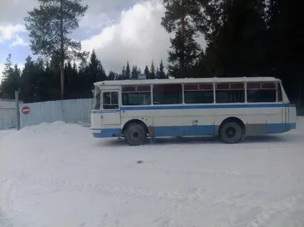 Нижние серги автобусы