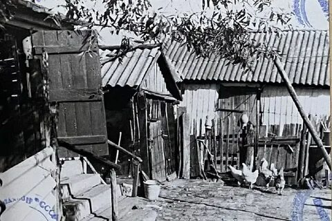 Новости 11 января 24 года