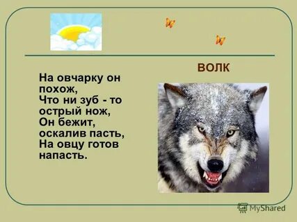 Вопрос про волка