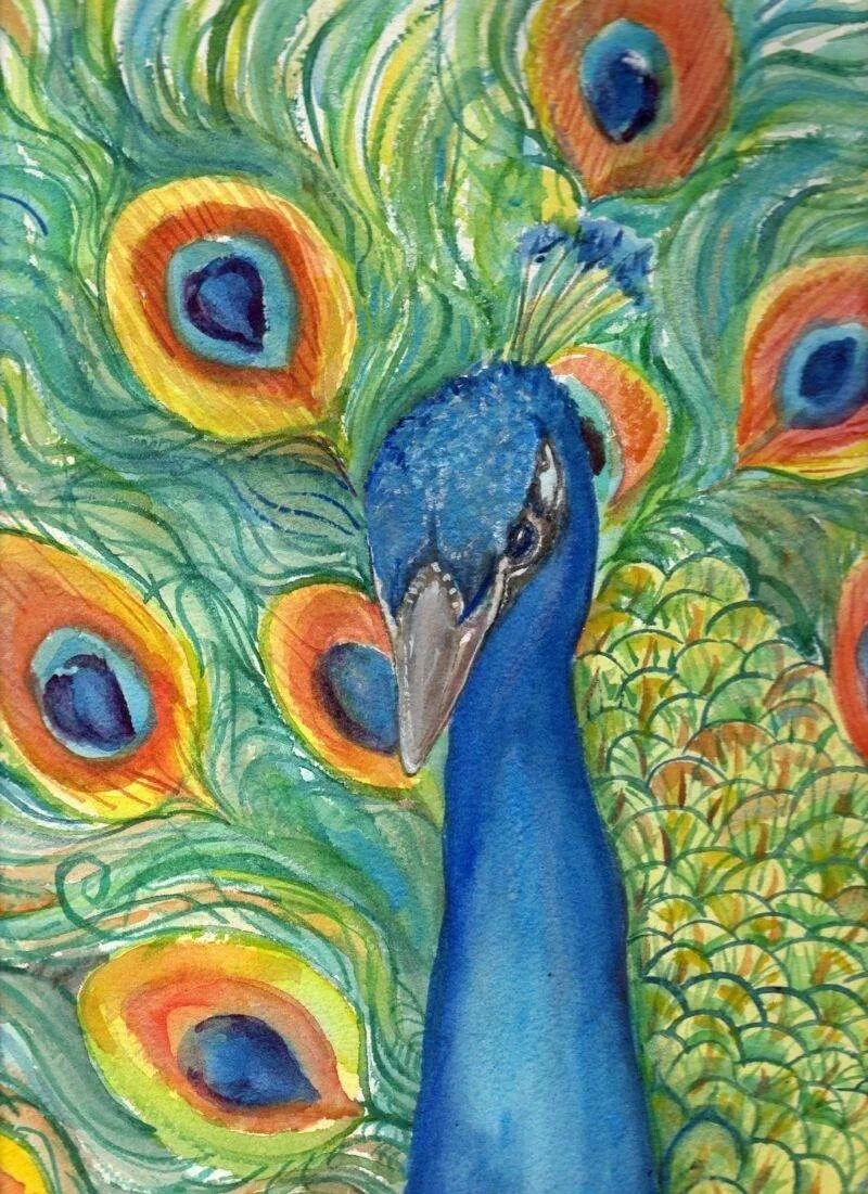 Пуантилизм павлин. Павлин красками. Павлин рисование. Эбру павлин. Павлин рисунок.