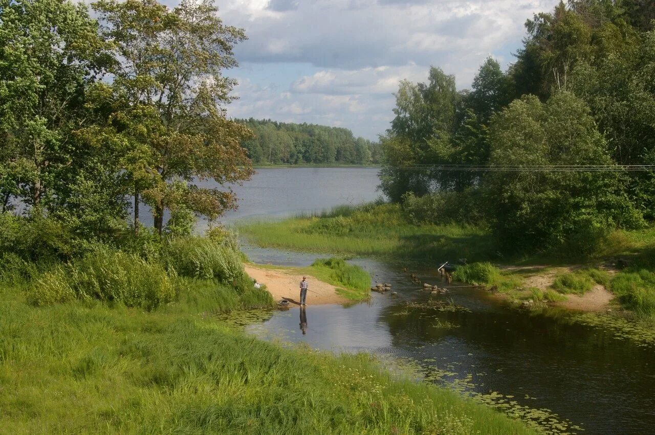 Исток реки луга. Город луга река. Река луга. Река луга кингисепп. Луга река ящера.