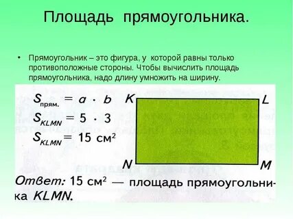 Площадь прямоугольника длину на ширину