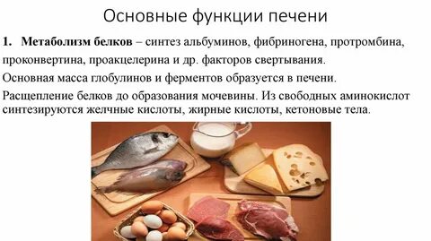 Белки расщепляются в печени
