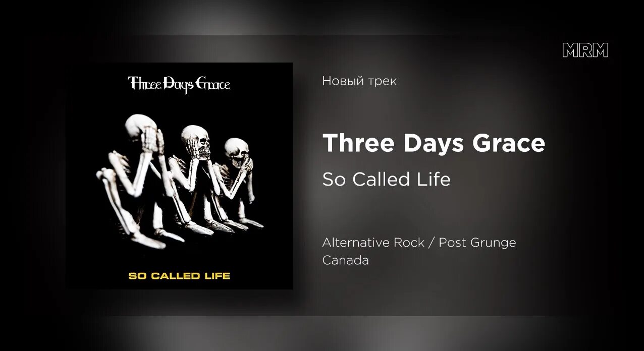 So called предложения. Three days grace so called life. three days grace альбомы. three days grace so called life текст. new real three days grace.